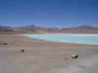 am&eacute;rique latine