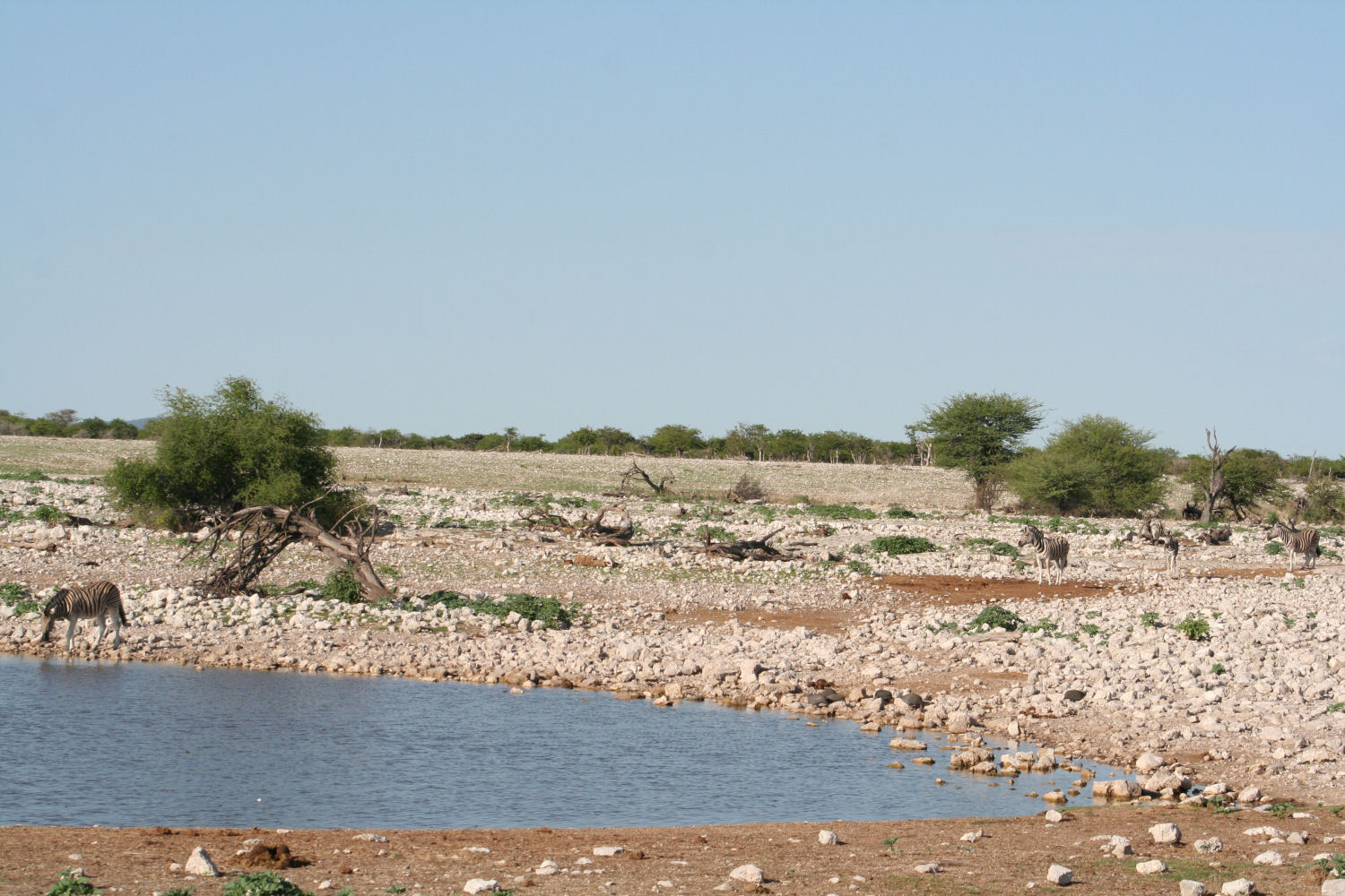 parc Etosha